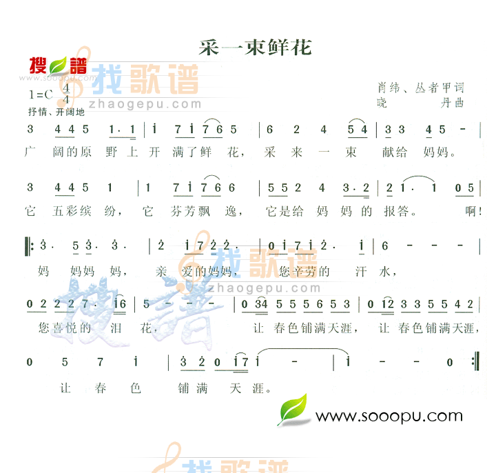 采一束鲜花