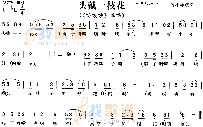 头戴一枝花纺纱线