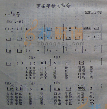 两条半枪闹革命