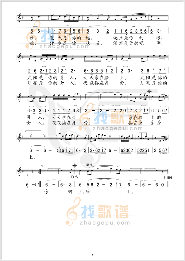 亲亲老百姓