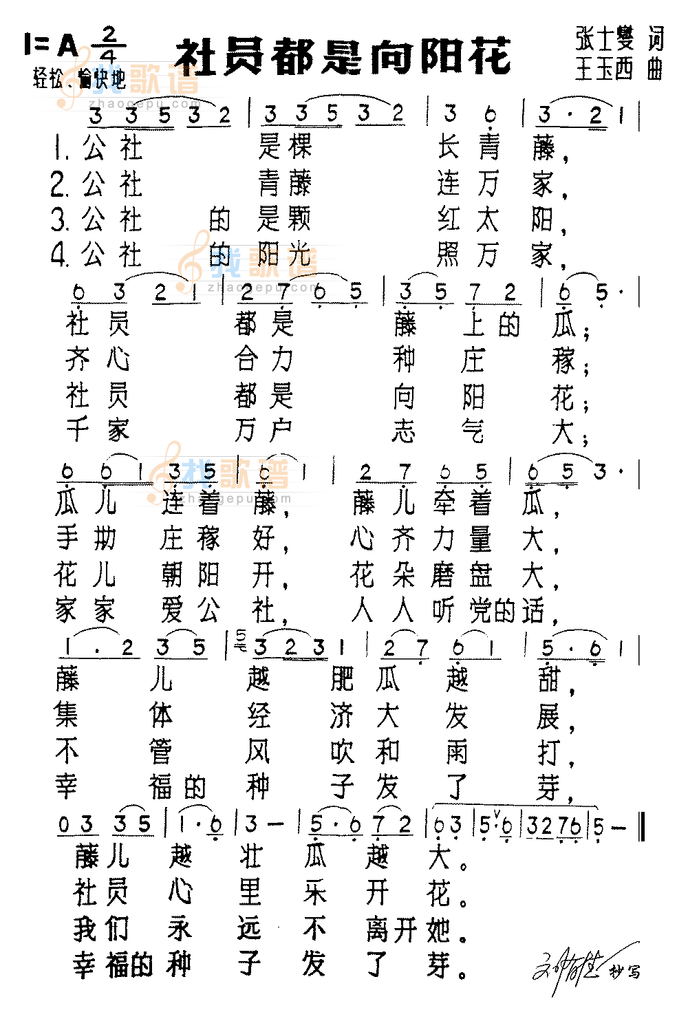 社员都是向阳花