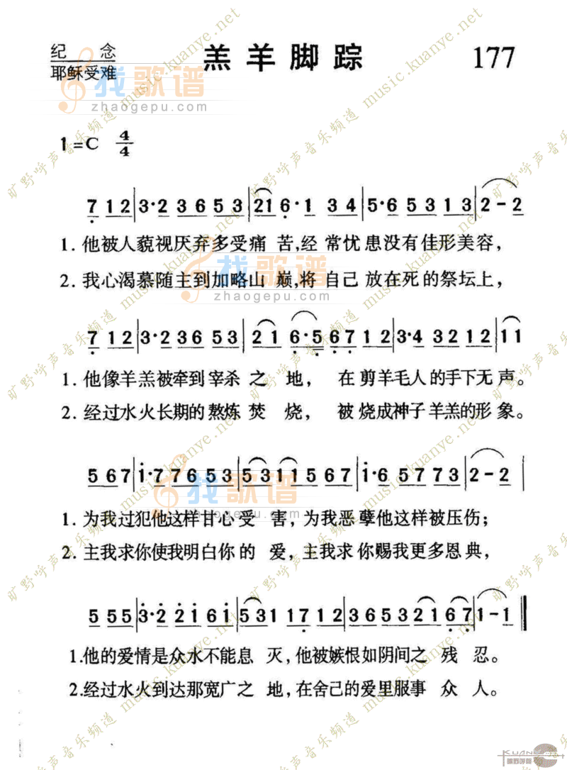 177羔羊脚踪