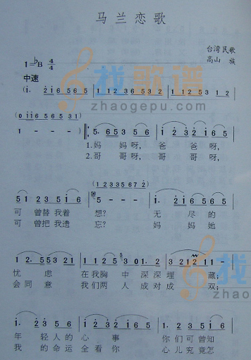 马兰恋歌