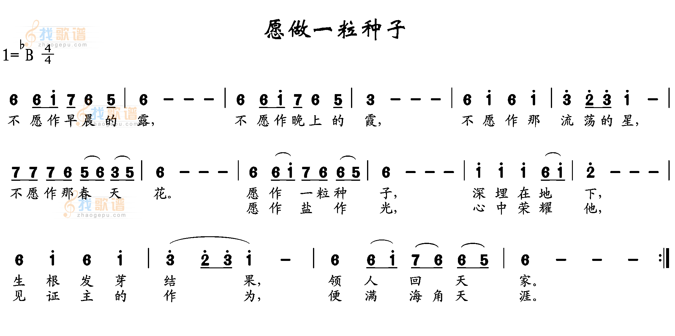 愿做一粒种子