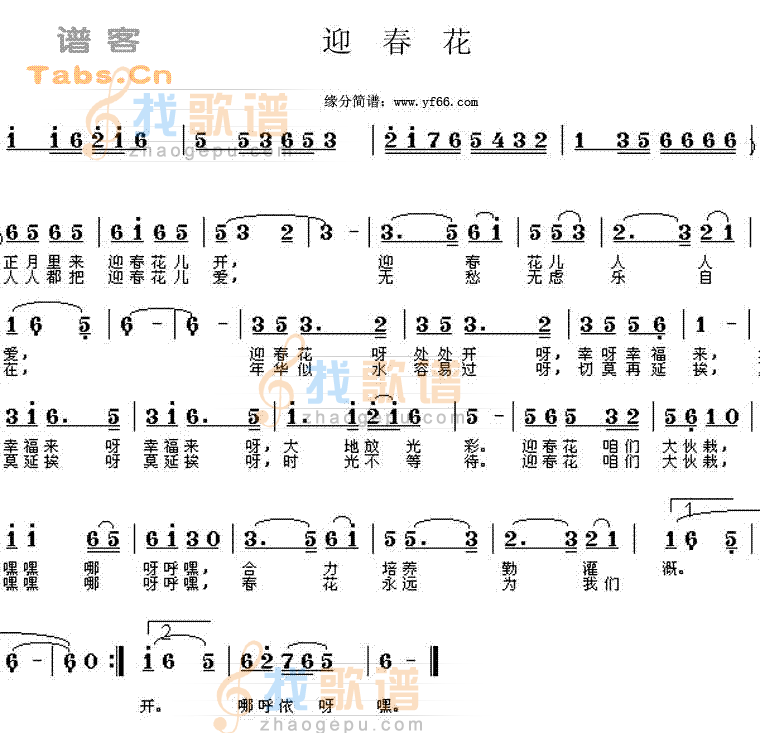 迎春花