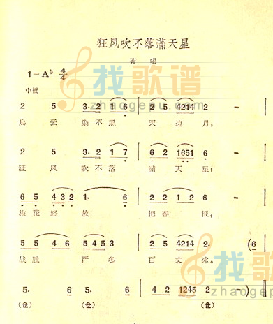 狂风吹不落满天星