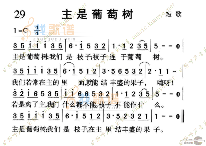 1029主是葡萄树