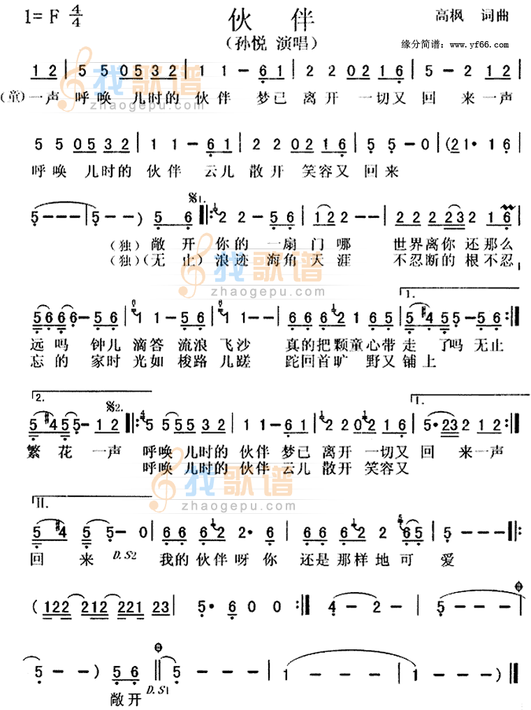伙伴