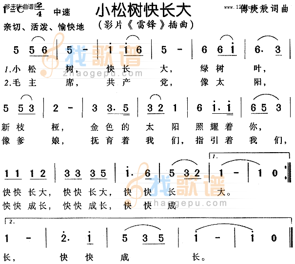 小松树快长大雷锋