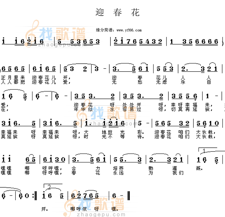 迎春花