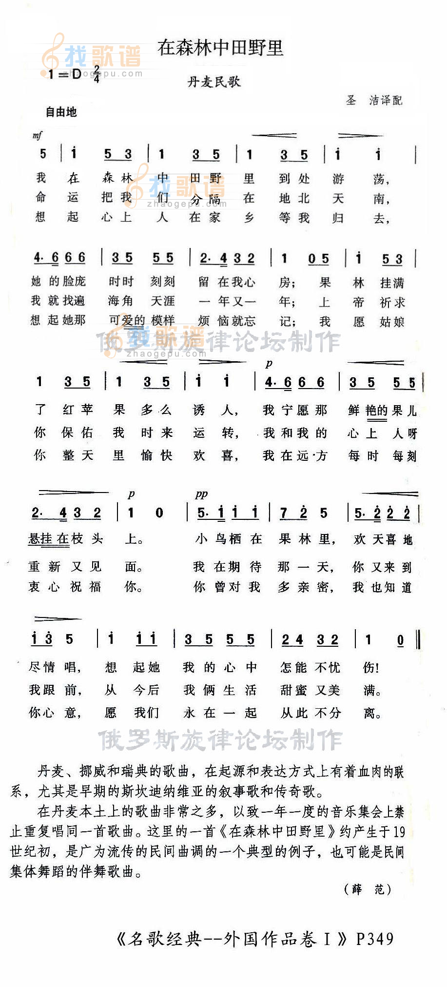 在森林中田野里