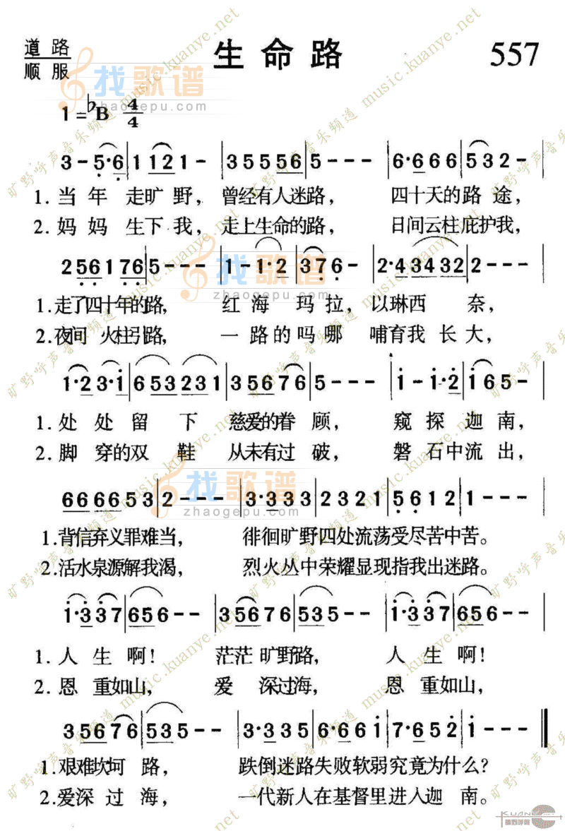 557生命路