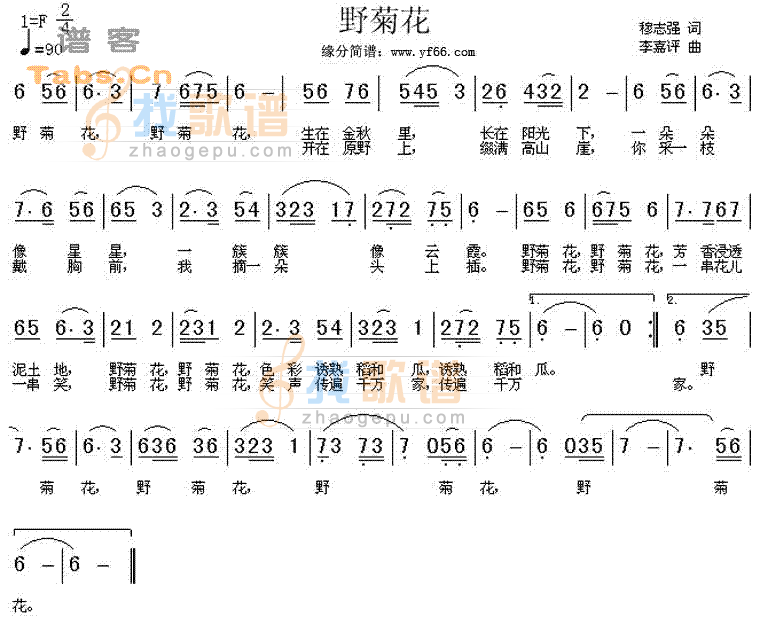 野菊花
