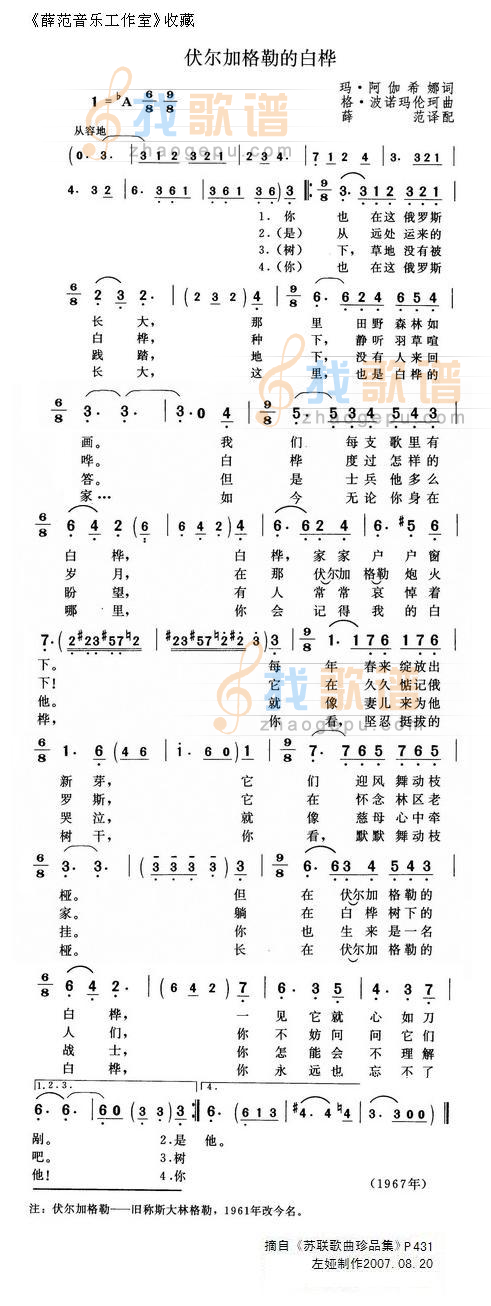 伏尔加格勒的白桦