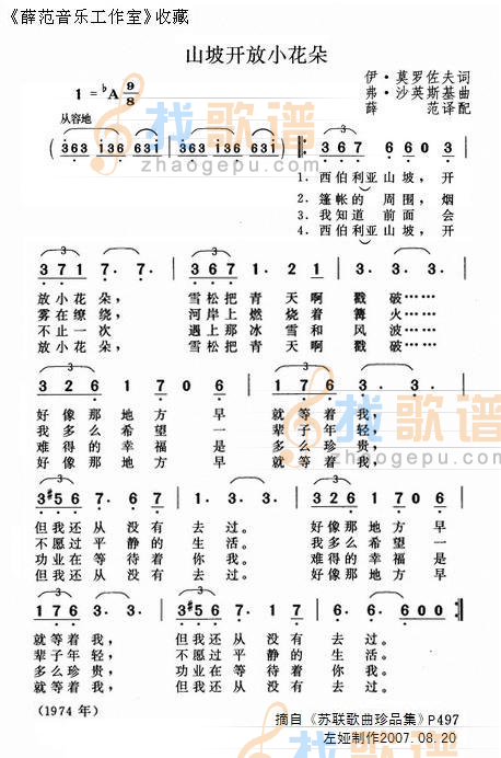 山坡开放小花朵