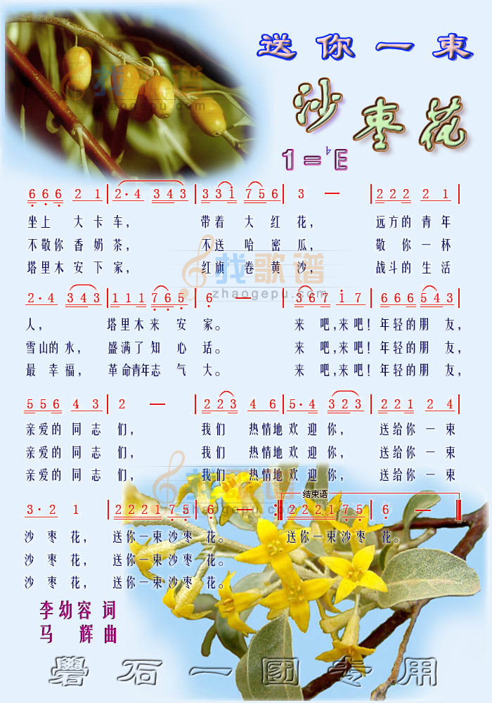 送你一束沙枣花（彩）