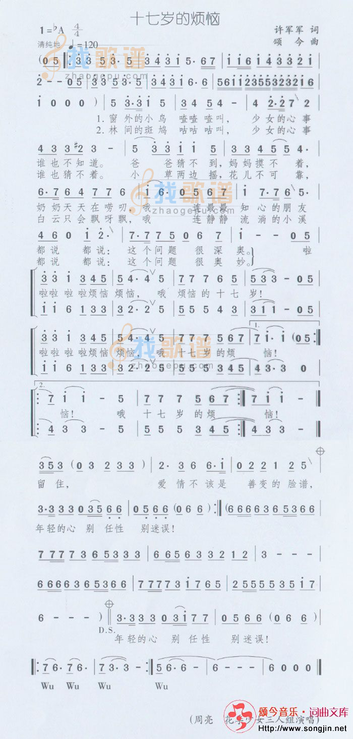 十七岁的烦恼
