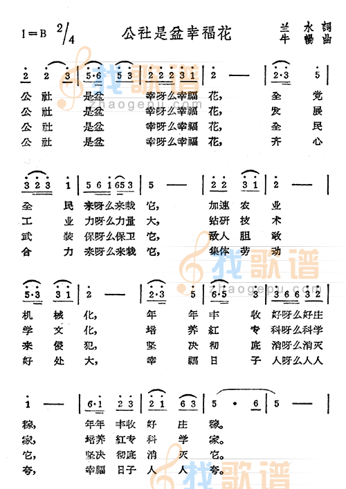 公社是盆幸福花