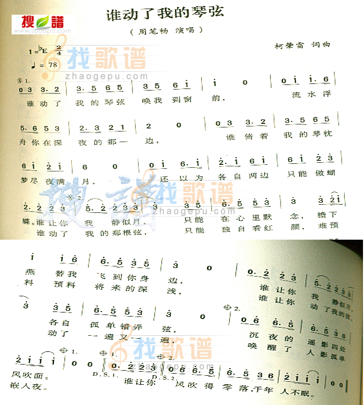 谁动了我的琴弦
