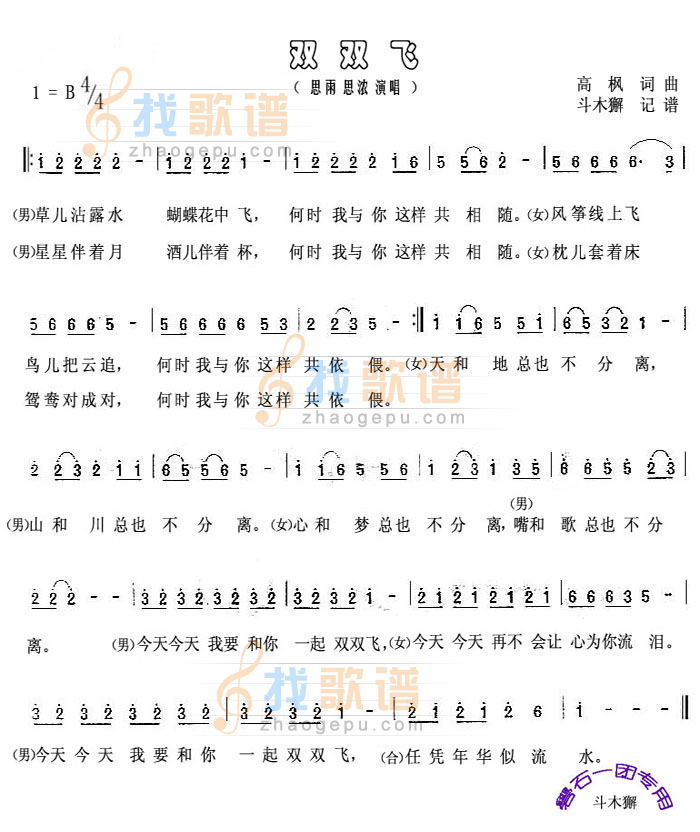 双双飞