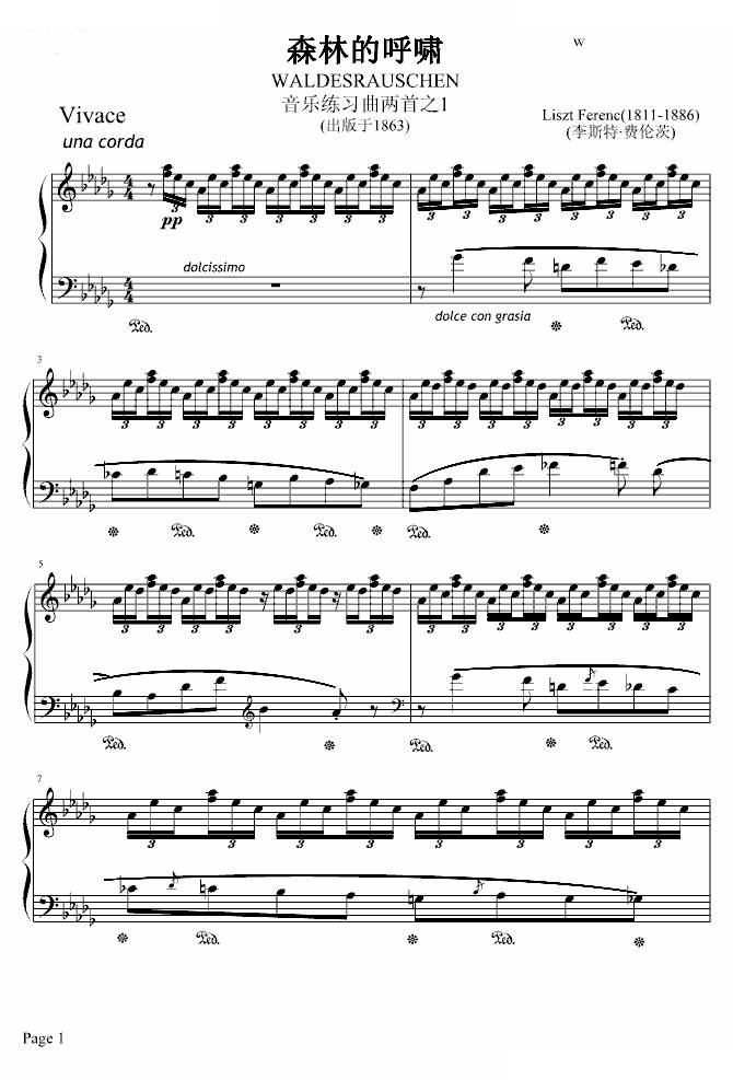 森林的呼啸WALDESRAUSCHEN