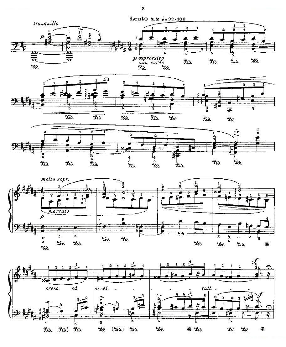 肖邦练习曲Fr.Chopin Op.25 No10