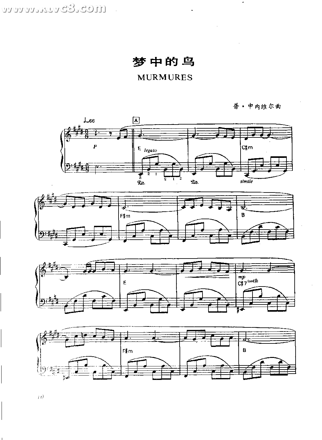 梦中的鸟