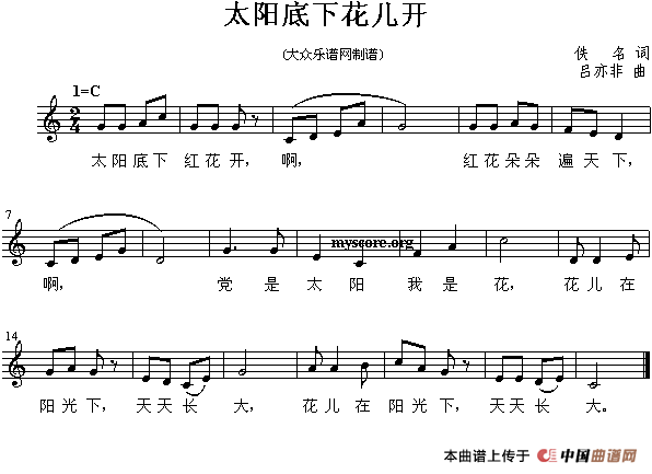 太阳底下花儿开
