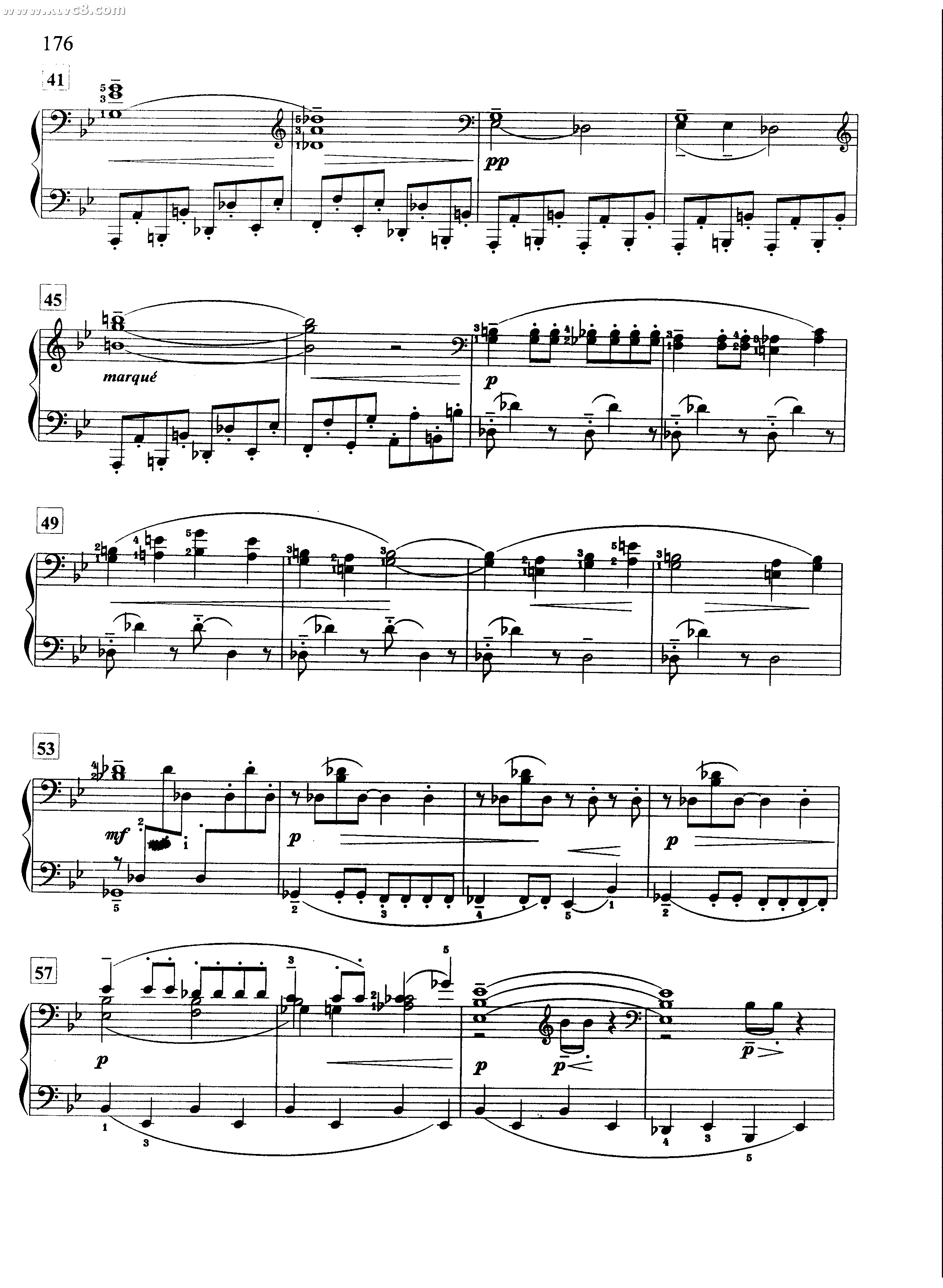 象的摇篮曲