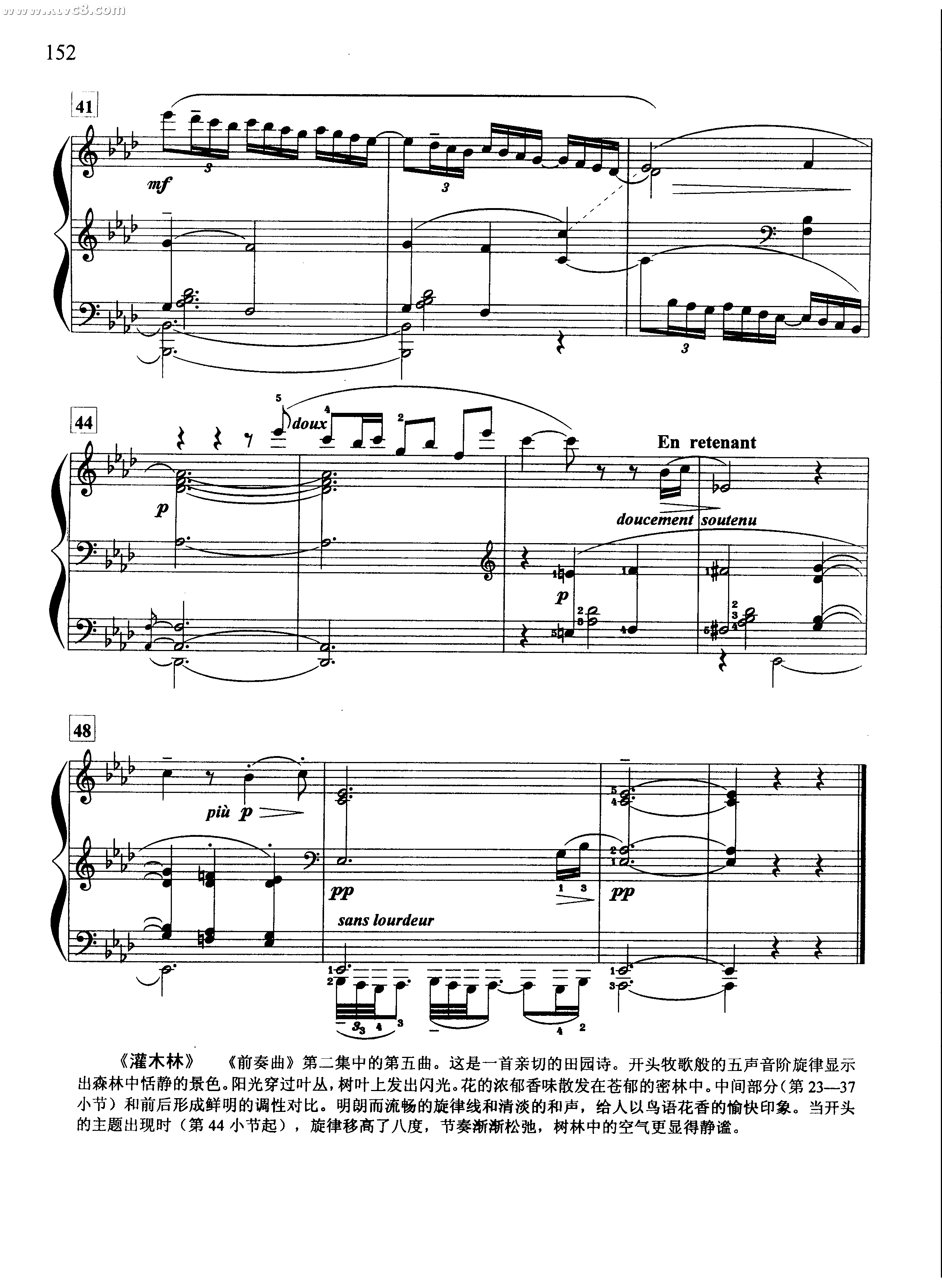 灌木林