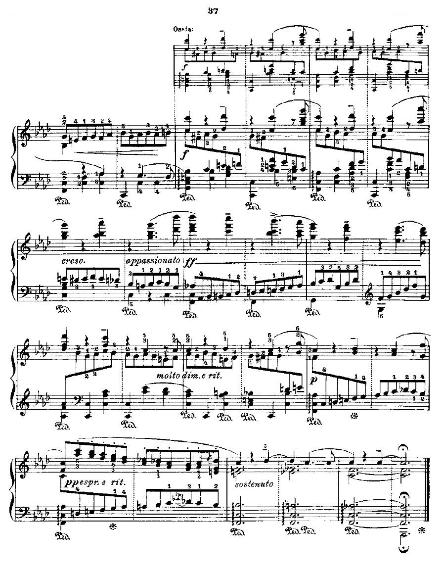 肖邦练习曲Fr.Chopin Op.25 No2-2