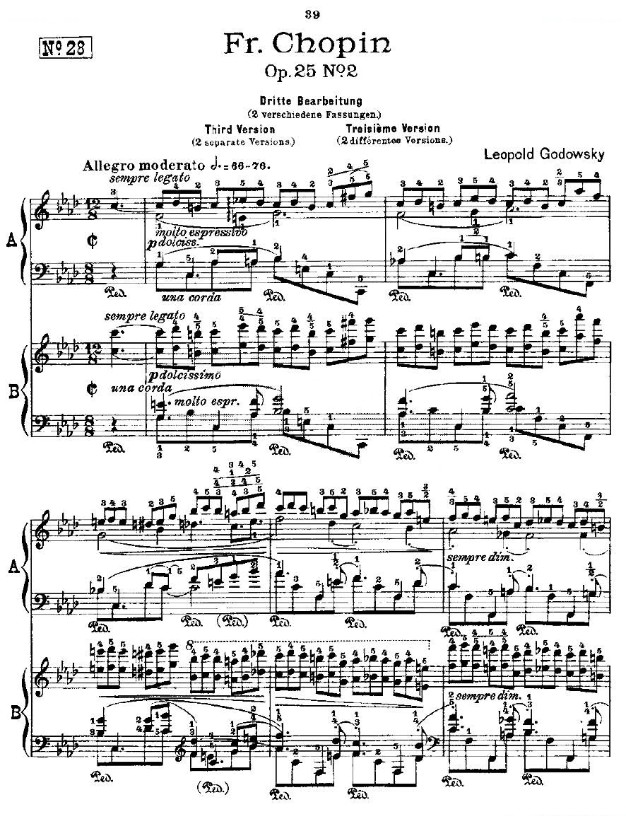 肖邦练习曲Fr.Chopin Op.25 No2-3