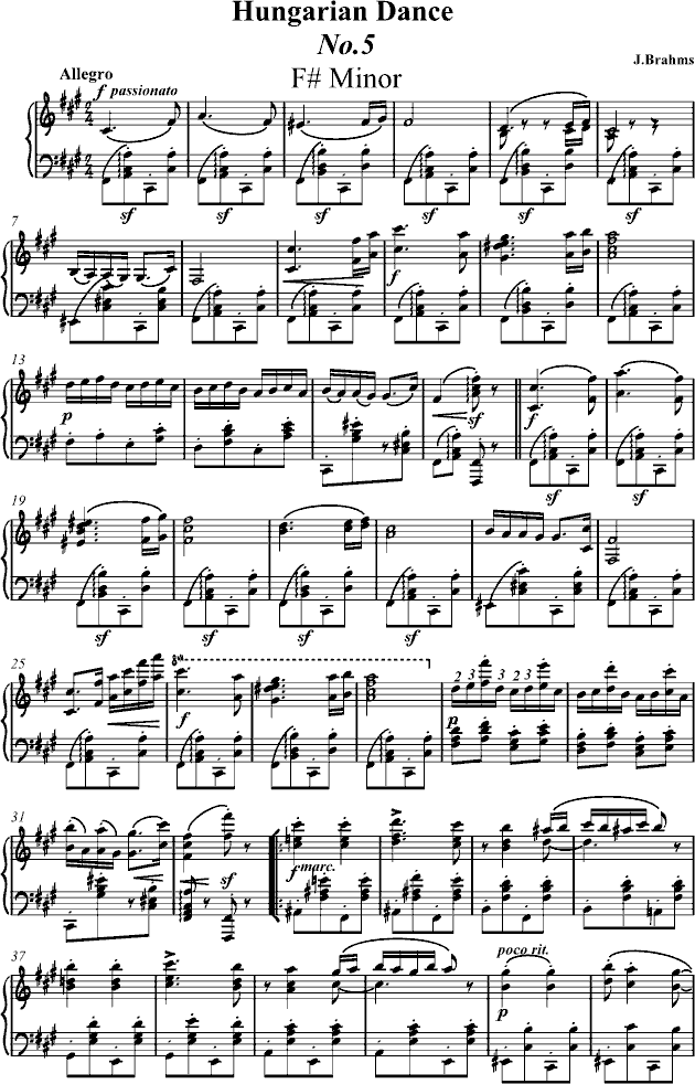 匈牙利舞曲独奏版