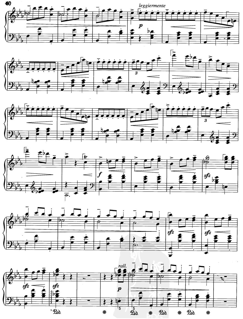 辉煌的大圆舞曲