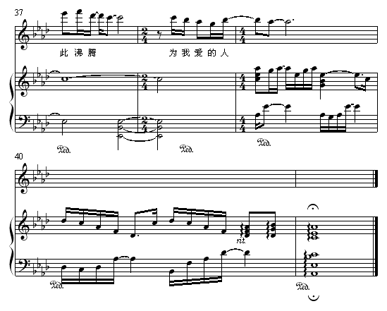 无条件为你