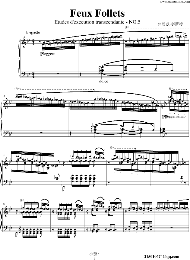 Liszt - Feux Follets