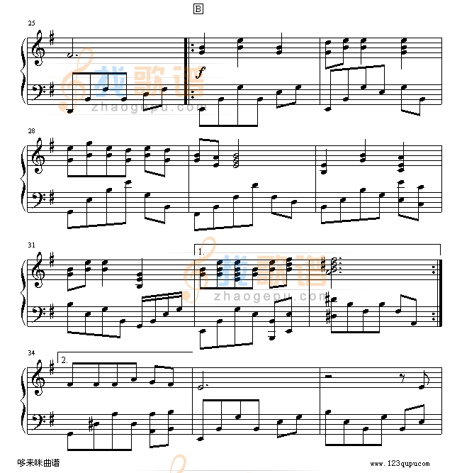 丁香花-唐磊