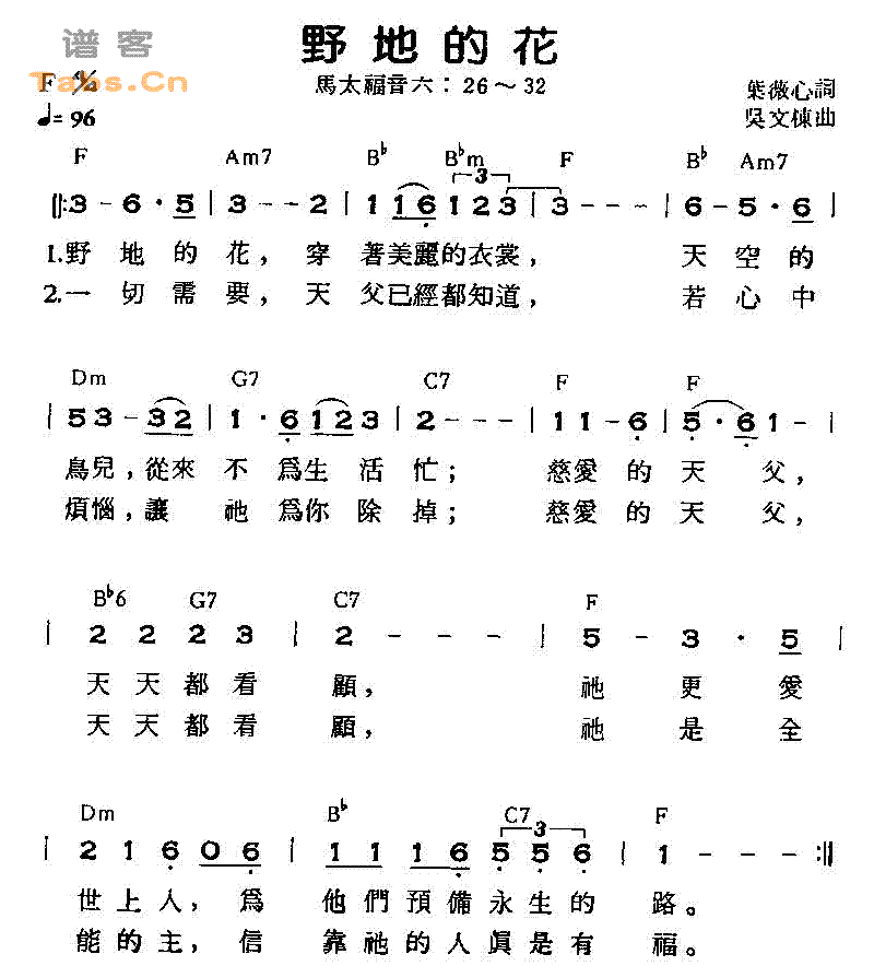 野地的花 VER1