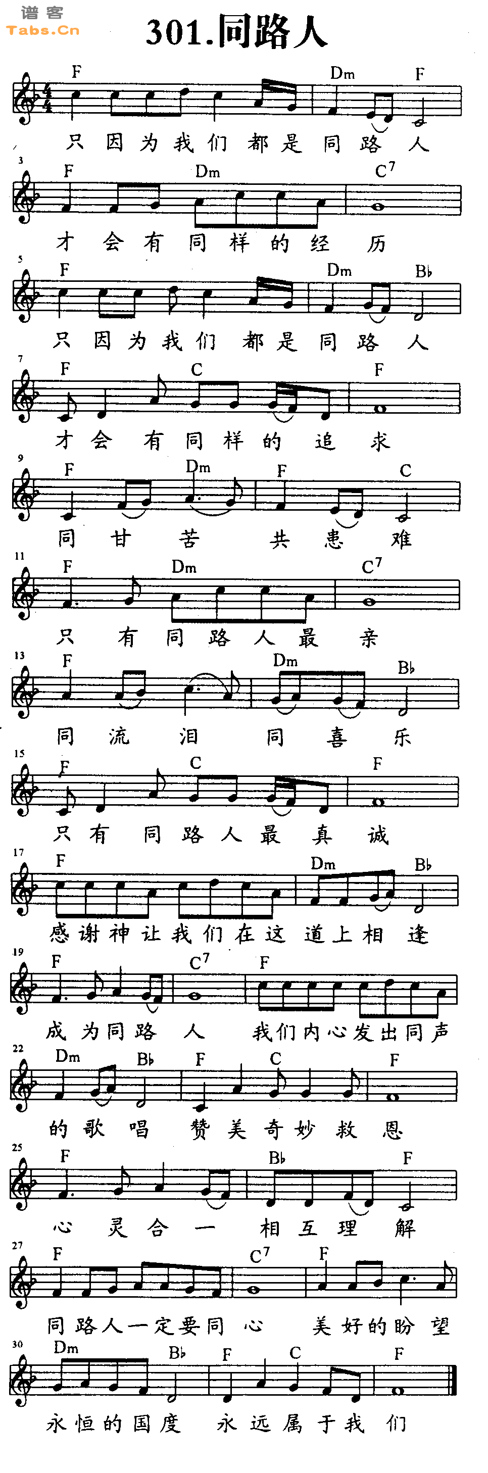 同路人 	