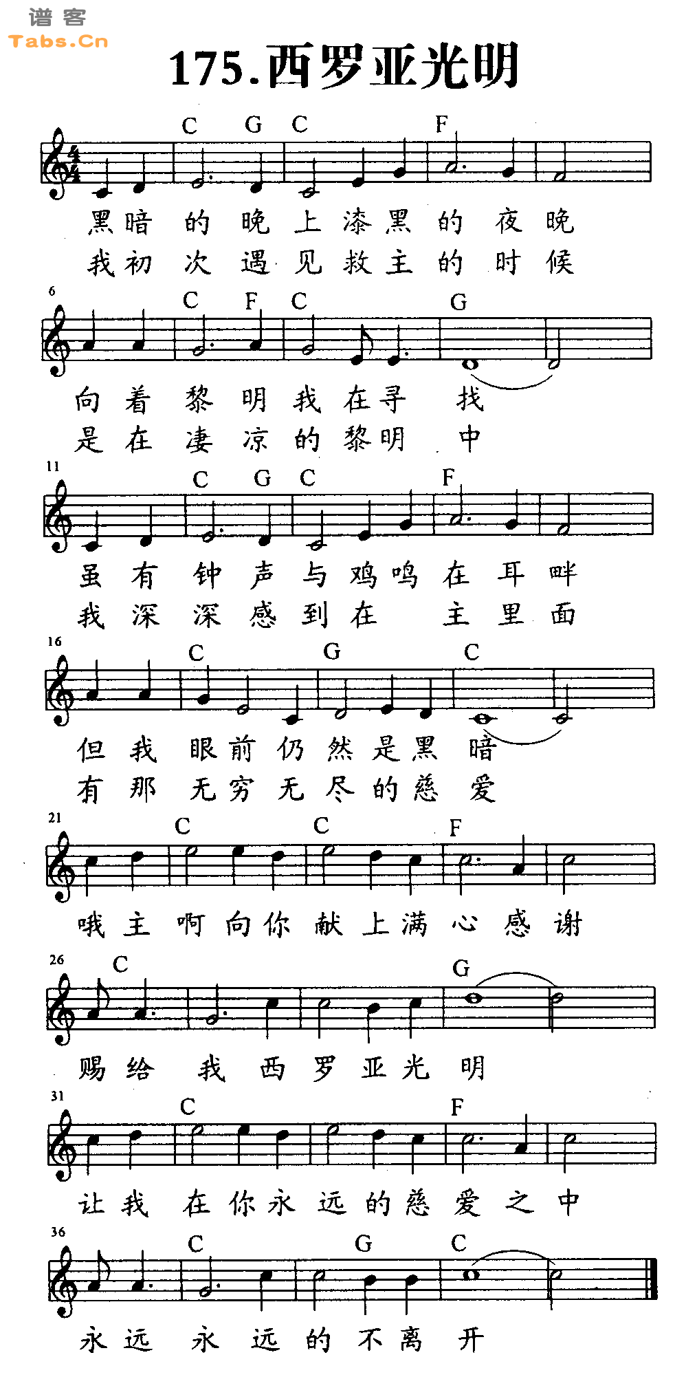 西罗亚光明 	