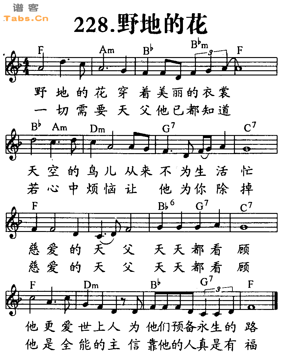野地的花 	