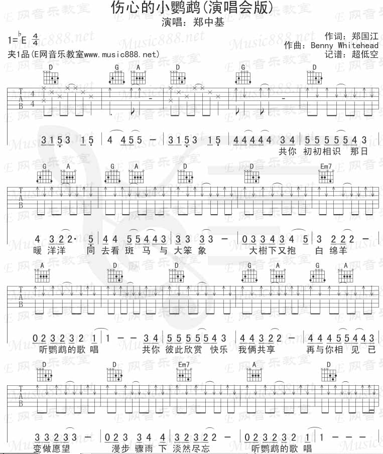伤心的小鹦鹉