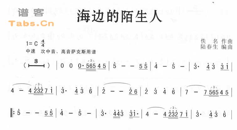 海边的陌生人 	