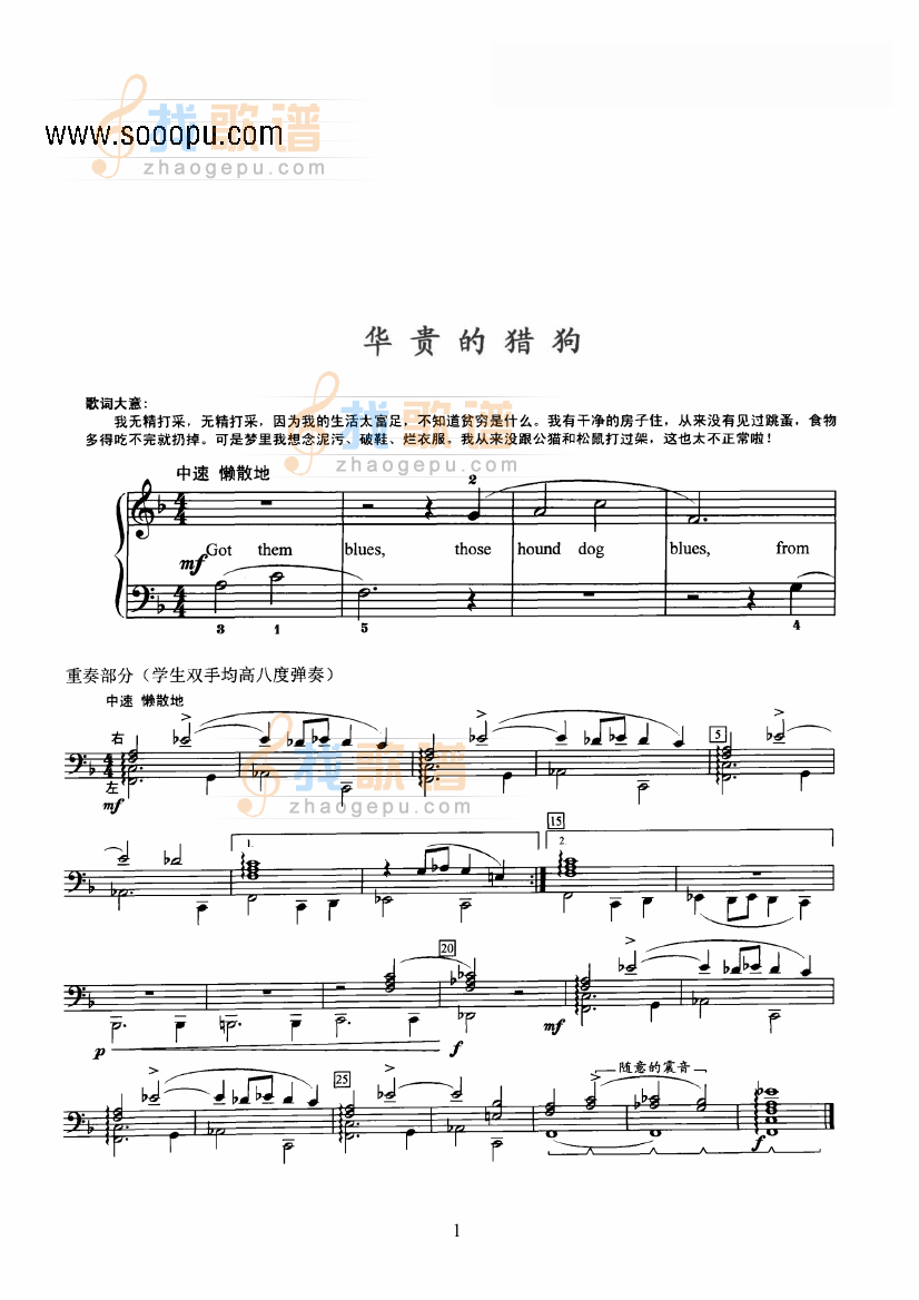 华贵的猎狗
