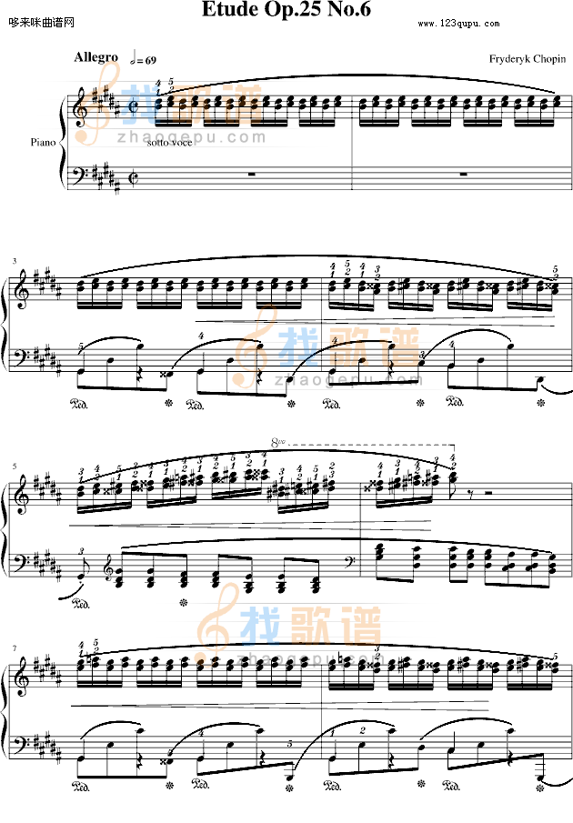 肖邦三度练习曲(op.25 no.6)-肖邦