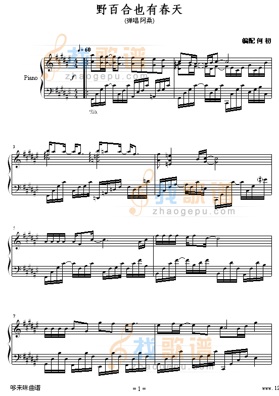 野百合也有春天-阿桑-孟庭苇