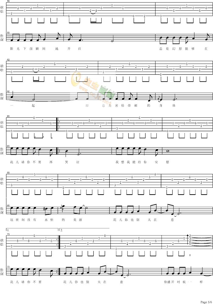 她们-mt200版