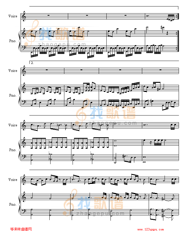 刺鸟-飞儿乐团