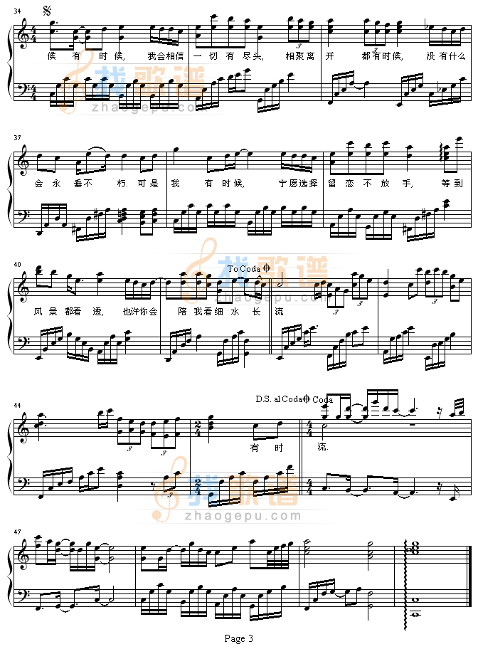 红豆
