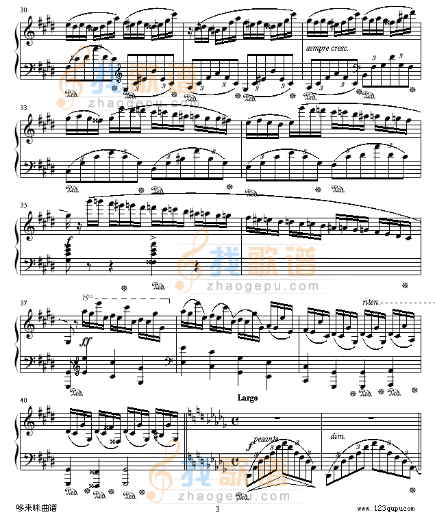 幻想即兴曲-滴漏打谱-肖邦